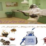 سم پاشی زیرنظر بهداشت(تمام نقاط تهران و حومه)